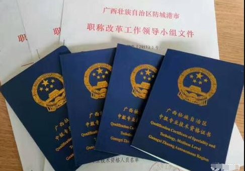 南宁市职称审验要进入什么网站系统