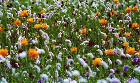 沽源县有什么好玩的