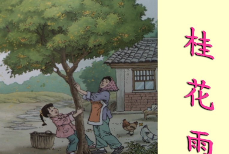 琦君为什么要写桂花雨这篇文章？