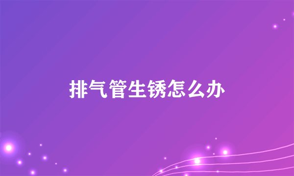 排气管生锈怎么办