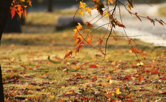 在这个薄情的世界里深情的活着是什么意思？