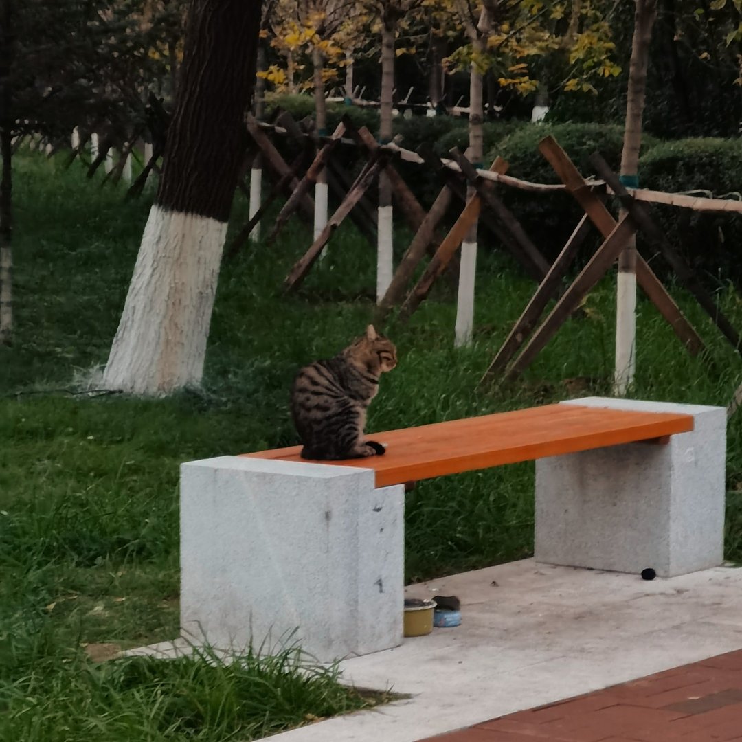 吉林师范大学怎么样