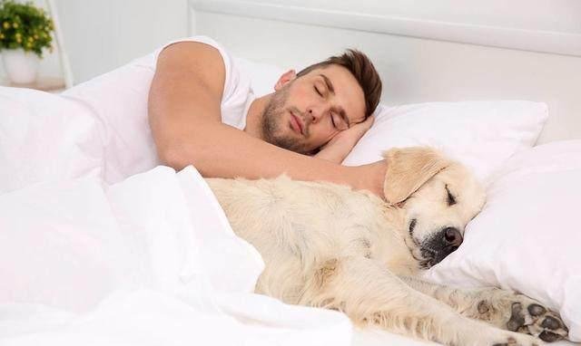 和狗狗同床睡觉有什么危害？