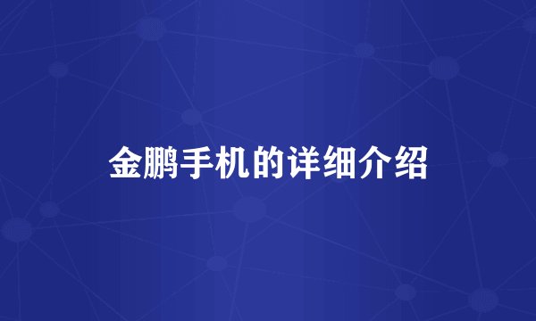 金鹏手机的详细介绍