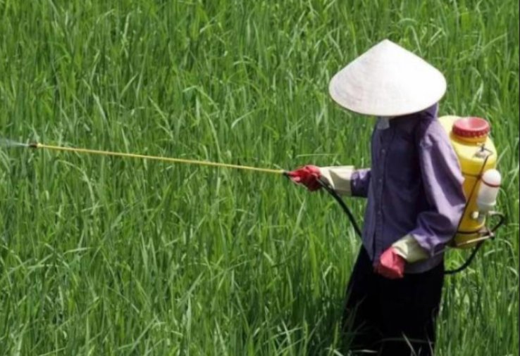 有机磷农药有哪些