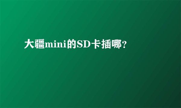 大疆mini的SD卡插哪？