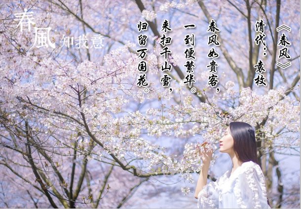 关于风的古诗，要整首诗！