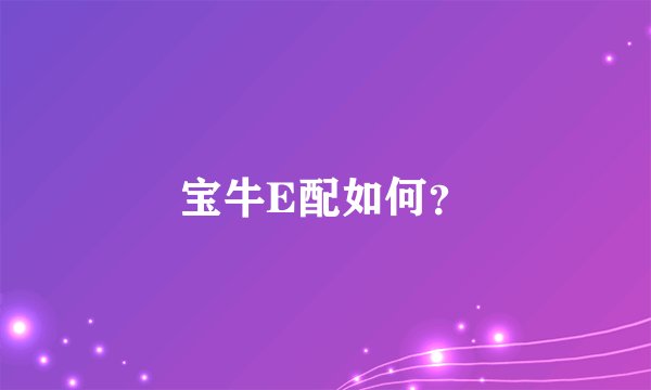 宝牛E配如何？