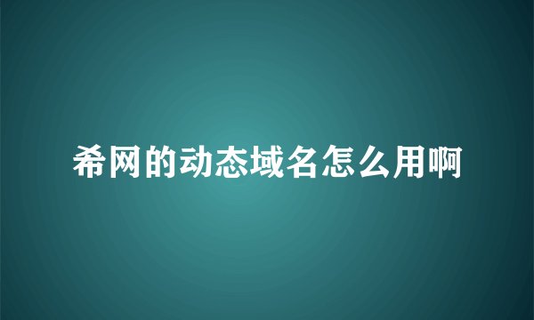 希网的动态域名怎么用啊