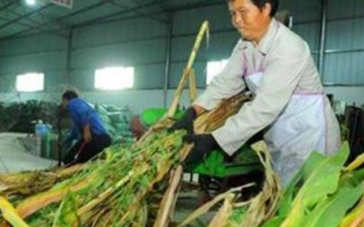 办厂创业好项目有哪些?