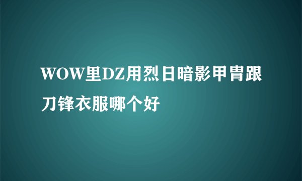 WOW里DZ用烈日暗影甲胄跟刀锋衣服哪个好