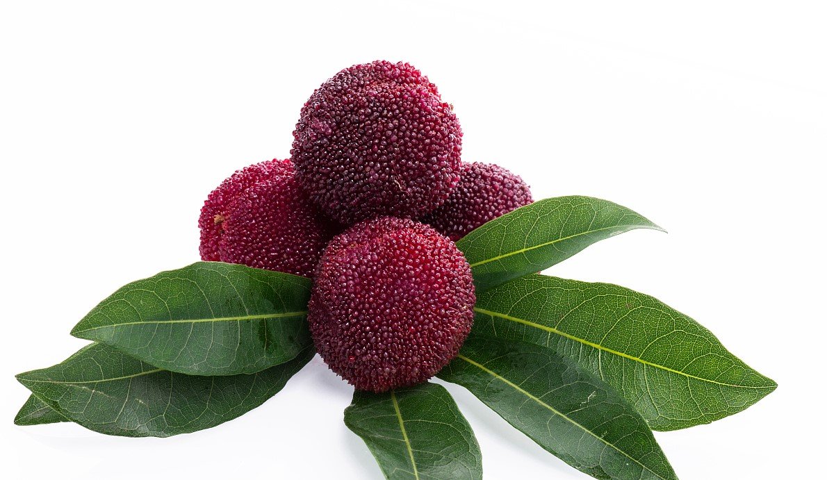 杨梅的成熟期是几月到几月？