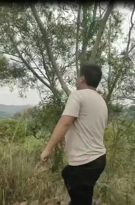 一名15岁学霸失联后发现上吊自杀，该名学生为何会做出这么极端的举动？