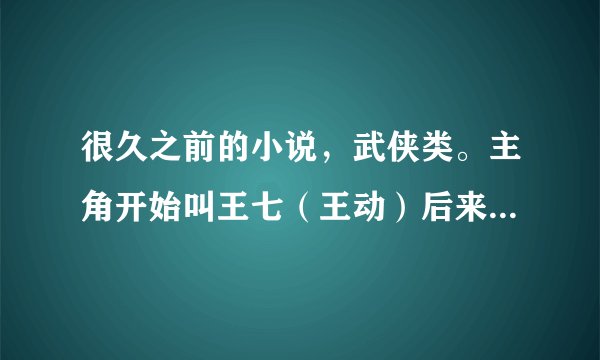 很久之前的小说，武侠类。主角开始叫王七（王动）后来叫王动（王七）。开始身份为杀手，后杀手组织被灭转