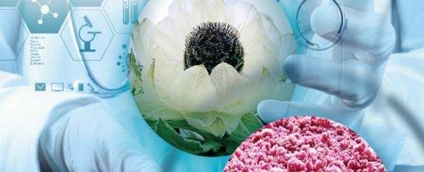 打胎有什么危害