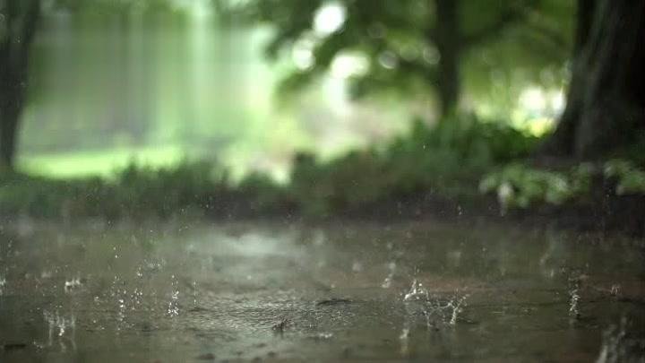 关于雨的现代诗