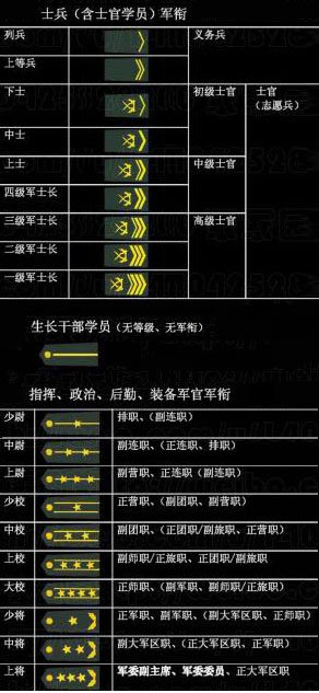 现在的军队肩章上的那些标志分别代表什么级别啊?