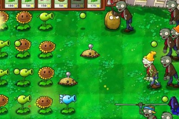 植物大战僵尸中的飞贼僵尸怎么对付