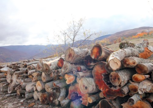 自然生态环境破坏的表现有哪些