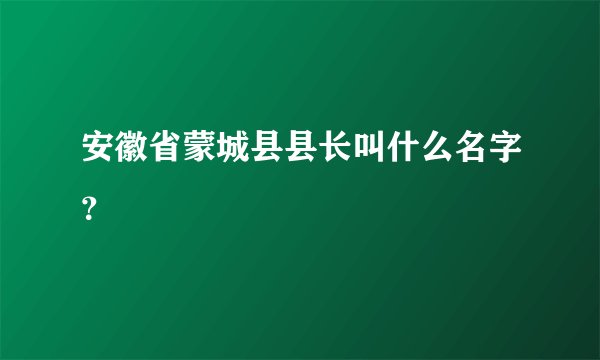 安徽省蒙城县县长叫什么名字？