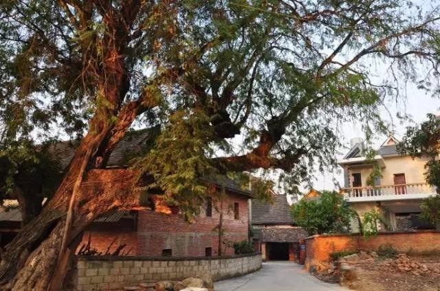 西安周边自驾一日游好去处有哪些?