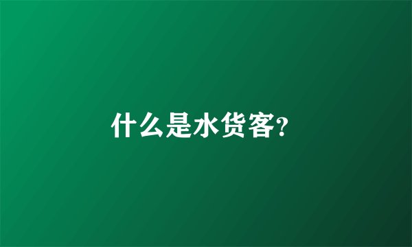 什么是水货客？