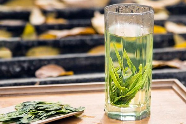 河源仙湖茶属于什么茶，要怎么煮？