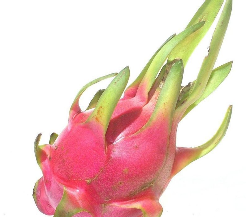 火龙果的营养成分