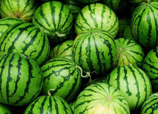 降火的食物有哪些？