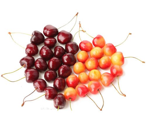 樱桃和车厘子是同一种水果吗？