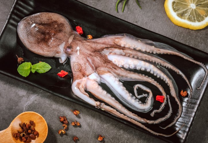 乌贼和章鱼的区别在哪？