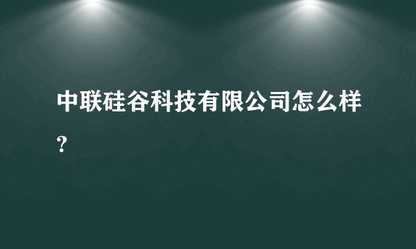 中联硅谷科技有限公司怎么样？