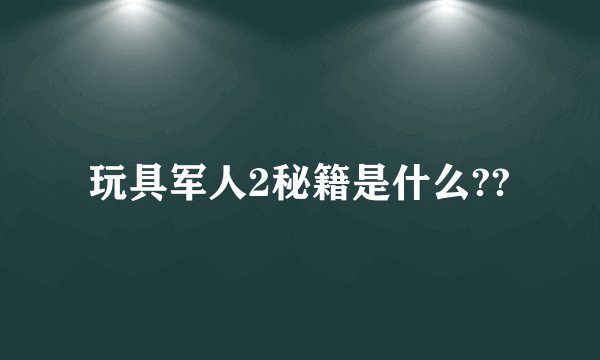 玩具军人2秘籍是什么??