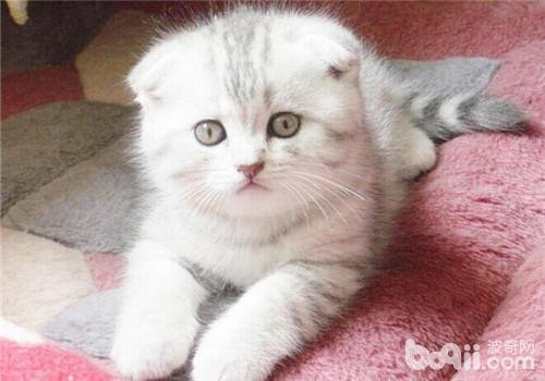 鱼刺卡住喉咙该怎么办呢？