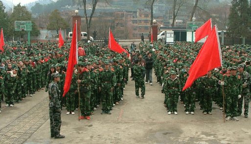 军中绿花的意思