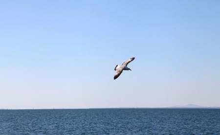 人生目标是什么