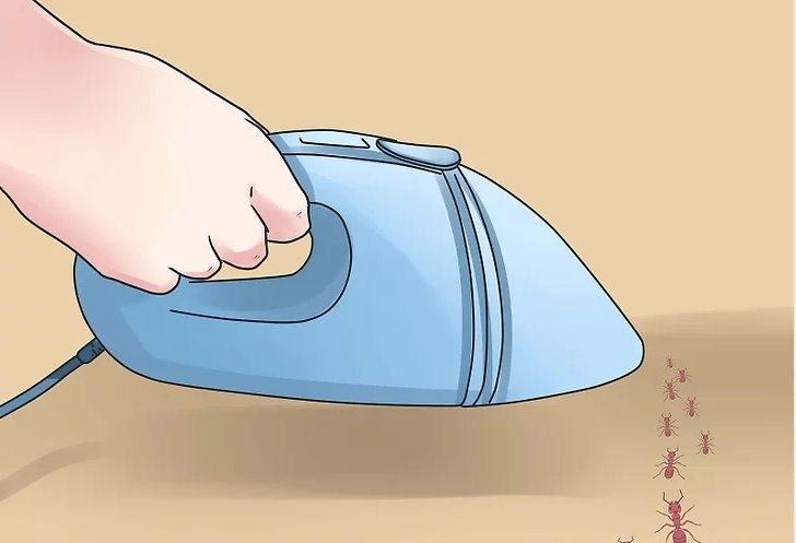 怎样才能消灭掉蚂蚁