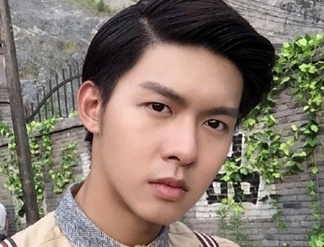 半是蜜糖半是伤中林鹤的扮演者是谁？