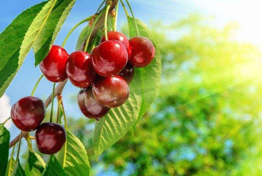 脸上长黄褐斑怎么办?