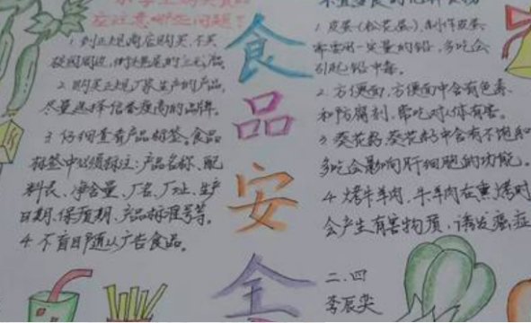 有关安全手抄报内容