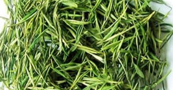 哪些茶叶属于绿茶?