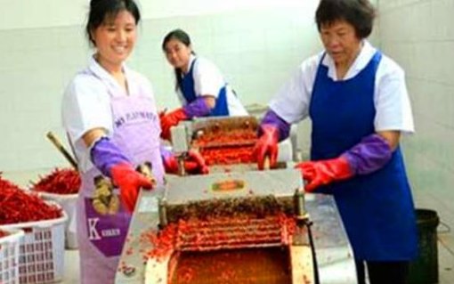 办厂创业好项目有哪些?