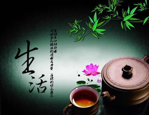 生活中的小发现有哪些？