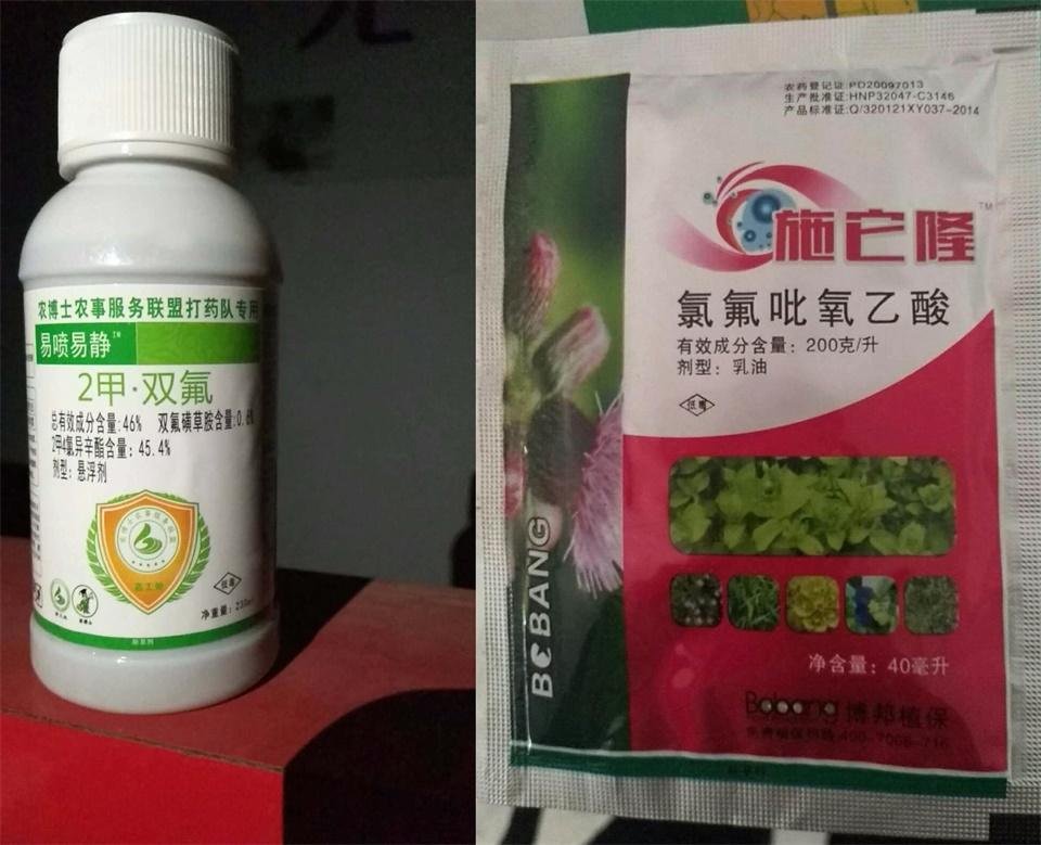 小麦除草剂，你知道的都有哪些呢？
