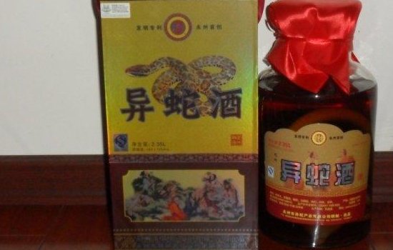 异蛇酒的功效与作用是什么？