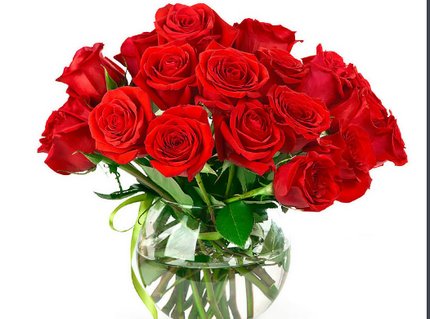 红玫瑰花语是什么