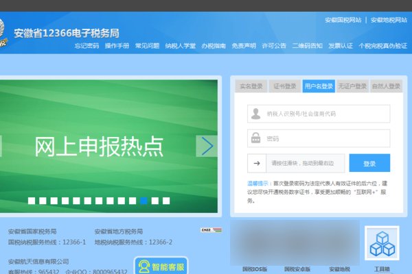 国税网上申报系统怎么用？