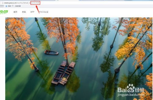 怎样保存到POCO相册里的多张图片?