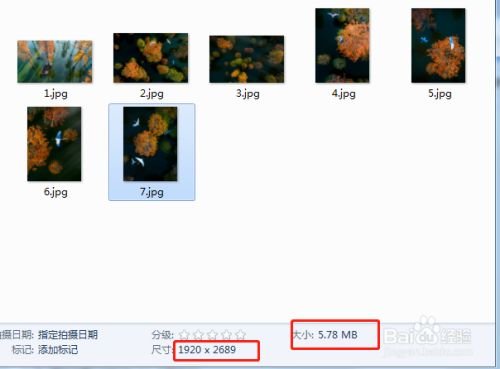怎样保存到POCO相册里的多张图片?