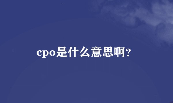cpo是什么意思啊？